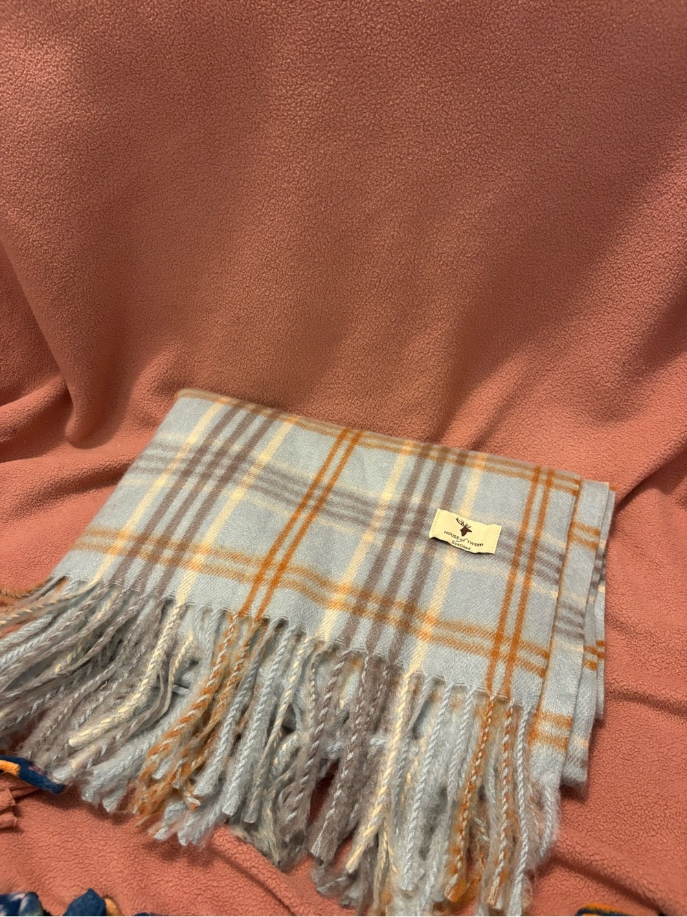 Light Blue & Tan Plaid Fringe Scarf by Unbranded
